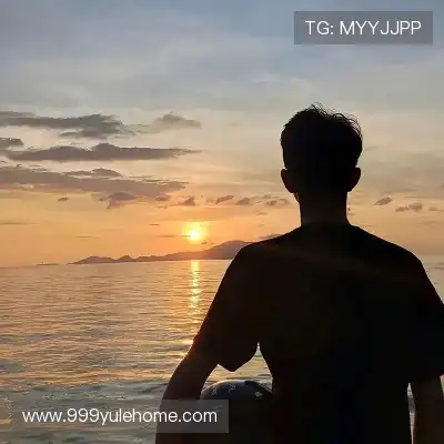 费艾贞